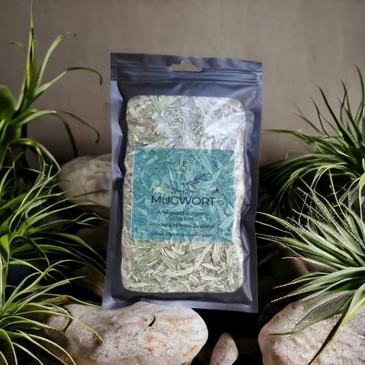 Mugwort Artemisia vulgaris 25g (Product of NZ)